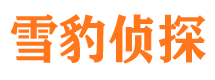 新民侦探公司